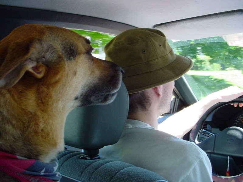 Driving